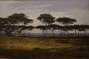 Alexandre N. Roussoff Les pins de Pledeliac oil on canvas
